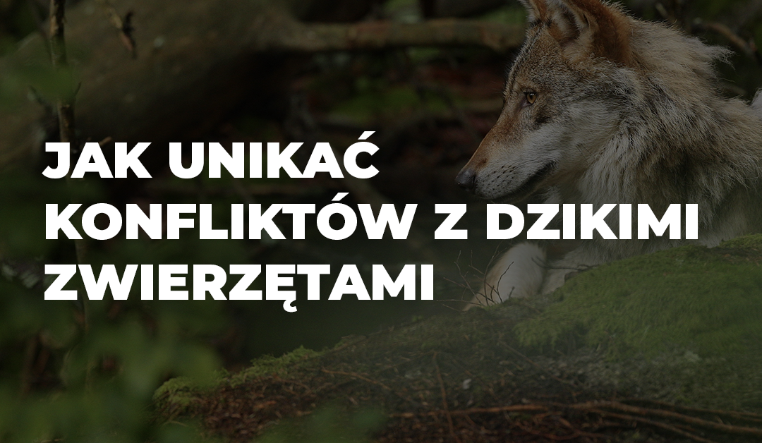 BLOG SURVIVAL zwierzeta