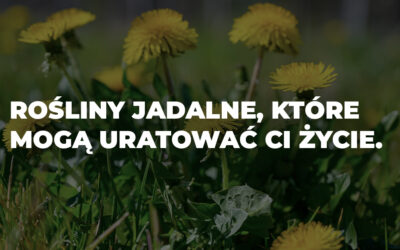 Co jeść w dziczy? Rośliny, które mogą uratować ci życie.
