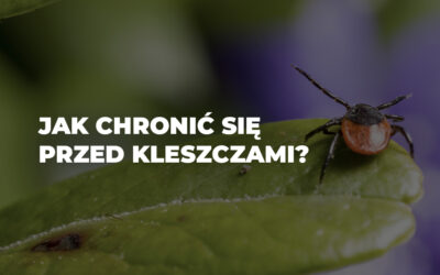 Kompletny poradnik – jak chronić się przed kleszczami?
