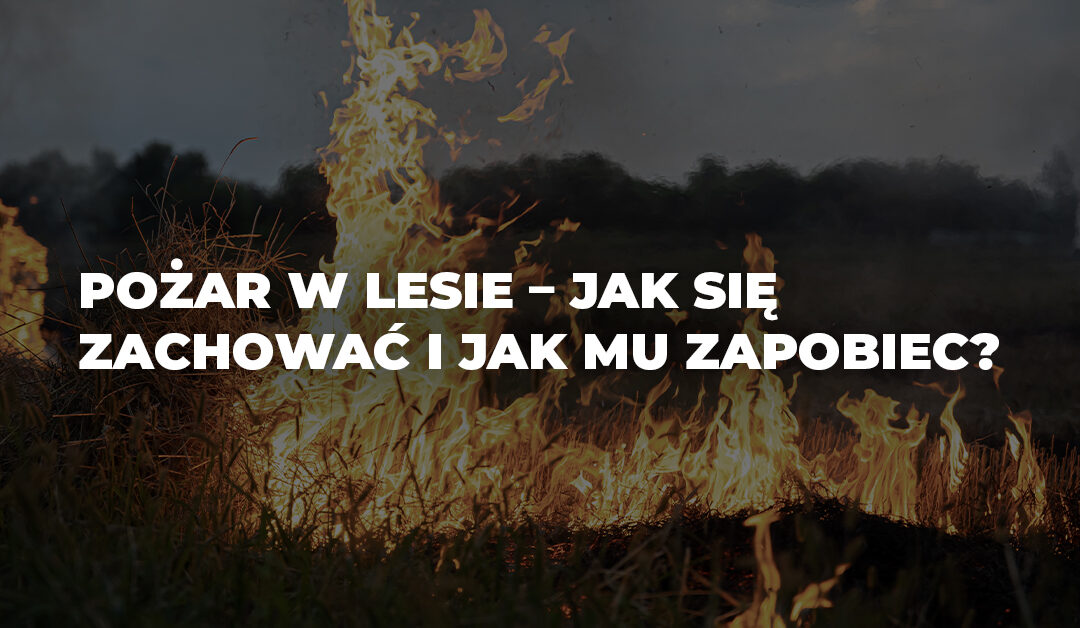 BLOG SURVIVAL pozar w lesie