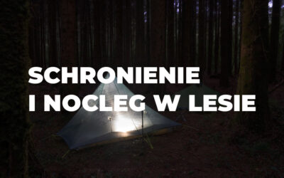 Schronienie i nocleg w lesie