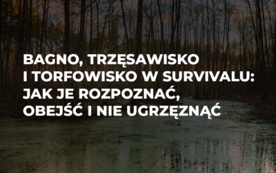 Bagno, trzęsawisko i torfowisko w survivalu: jak je rozpoznać, obejść i nie ugrzęznąć