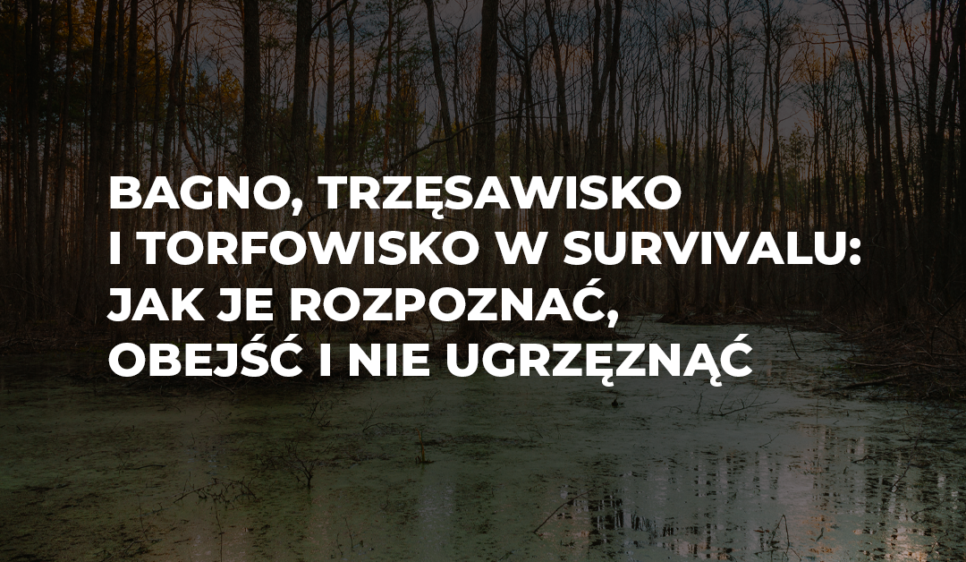 Bagno, trzęsawisko i torfowisko w survivalu: jak je rozpoznać, obejść i nie ugrzęznąć