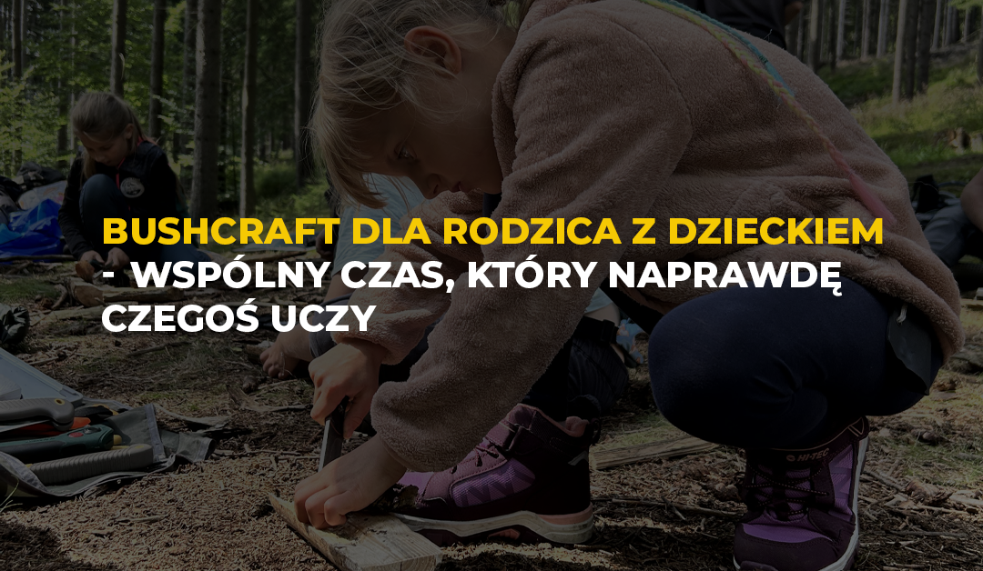 blog obraz