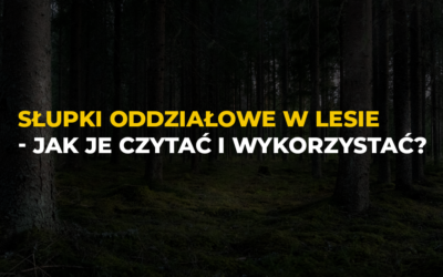 Słupki oddziałowe w lesie to nie dekoracja. Mogą pomóc Ci określić, gdzie jesteś