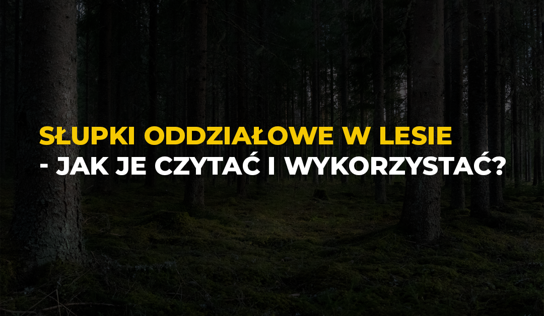 Słupki oddziałowe w lesie to nie dekoracja. Mogą pomóc Ci określić, gdzie jesteś