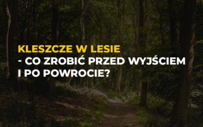 Kleszcze w lesie – procedura przed wyjściem i po powrocie