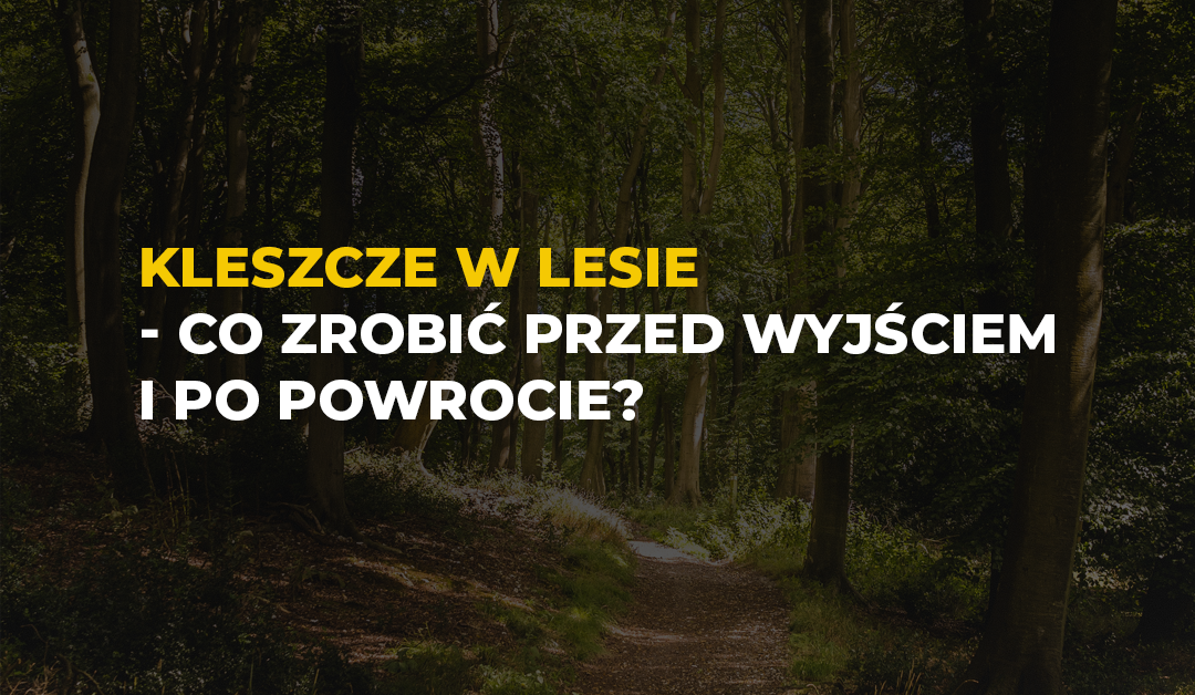 Kleszcze w lesie – procedura przed wyjściem i po powrocie